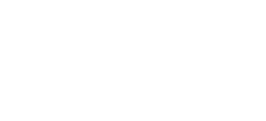 Security Girl logo
